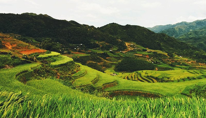 太阳成集团tyc151cc(中国)有限公司