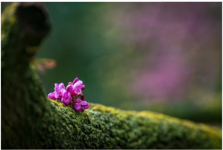 太阳成集团tyc151cc(中国)有限公司