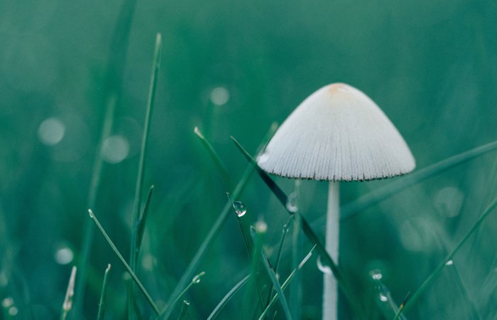 太阳成集团tyc151cc(中国)有限公司