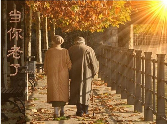 太阳成集团tyc151cc(中国)有限公司